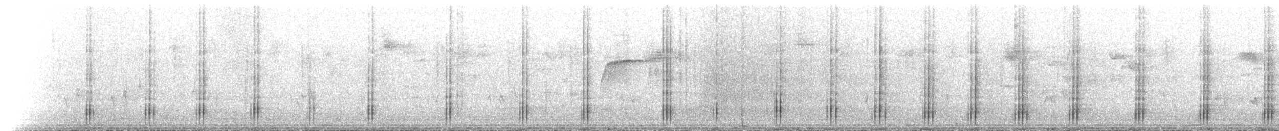 Oréophase cornu - ML615589929