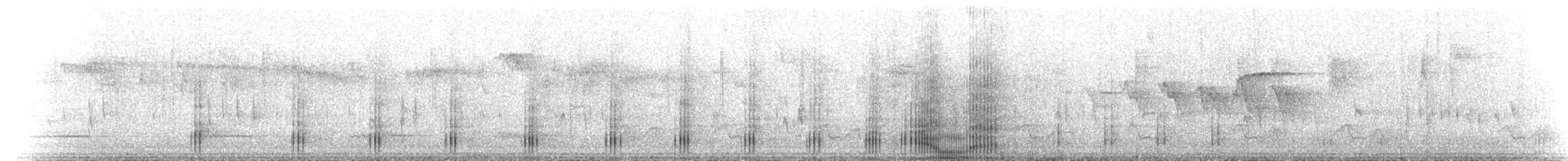 Oréophase cornu - ML615589932