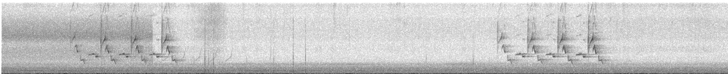 Каролинский крапивник - ML615591491