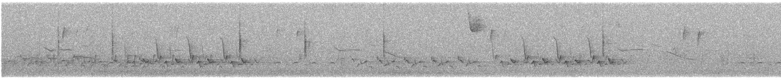 Paruline grise - ML615592480