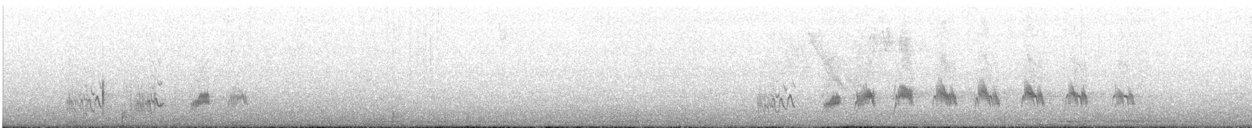 シロハラムラサキツバメ - ML615593051