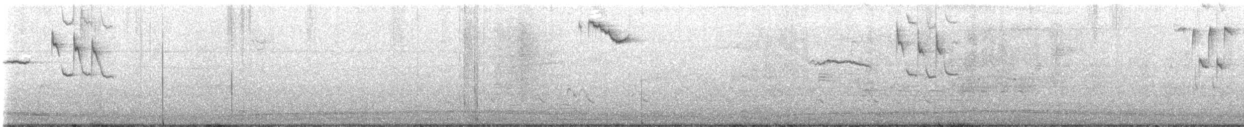brunhodetrupial - ML615595852