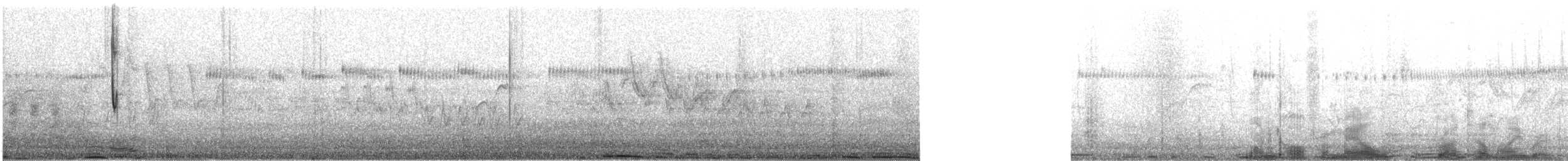 Широкохвостый колибри - ML615596419