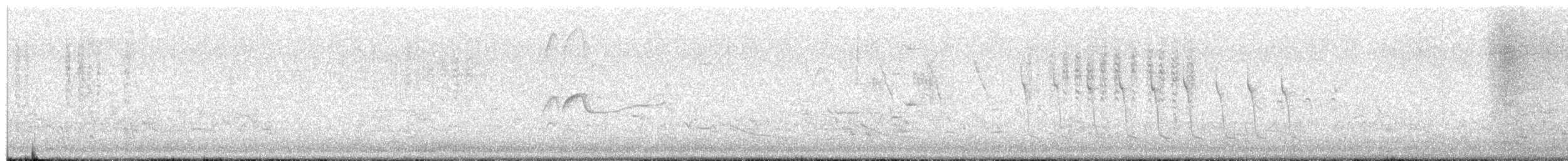 Troglodyte des marais - ML615598717
