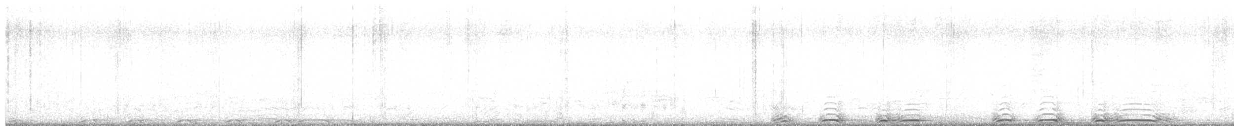 Chouette rayée - ML615599987