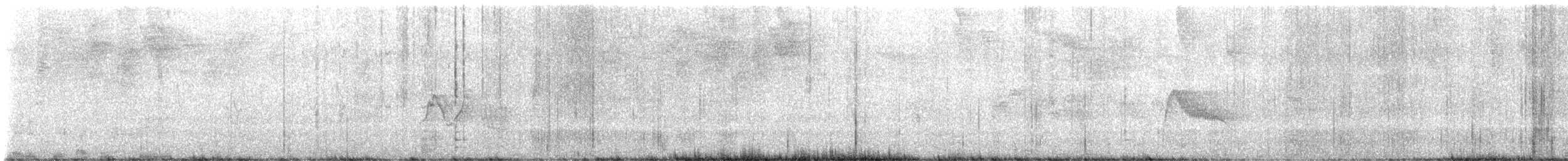 Zuckervogel [bartholemica-Gruppe] - ML615600408