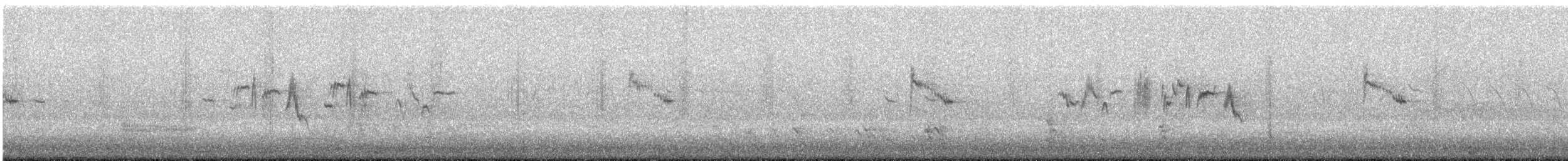 דוחל שחור-גרון - ML615600863