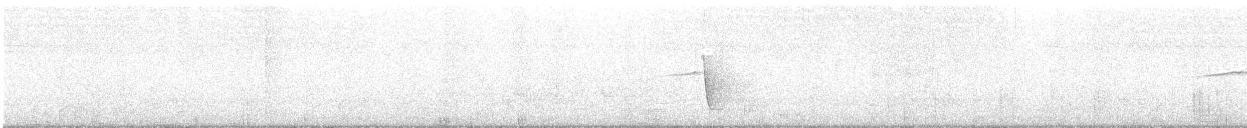 Rufous Whistler - ML615602010