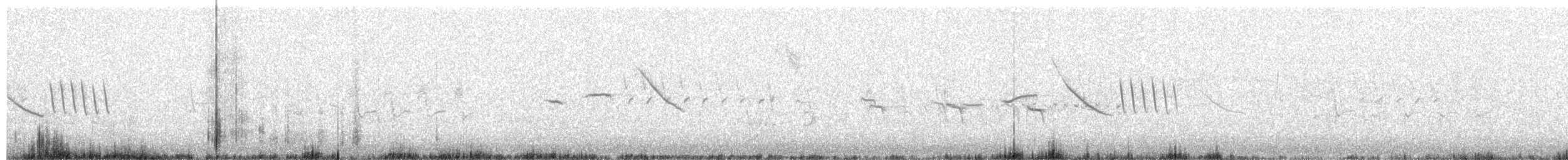 Morgenammer - ML615606133