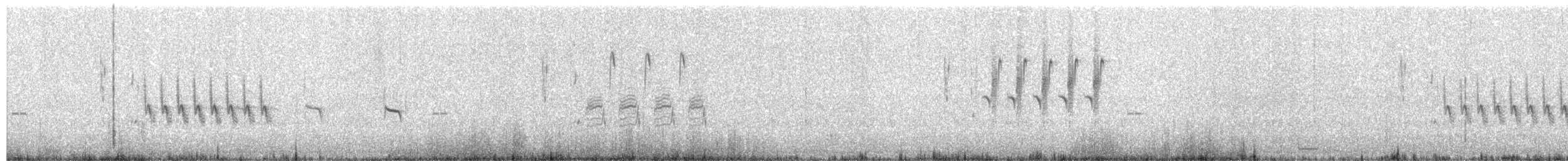 Pampazaunkönig - ML615606159