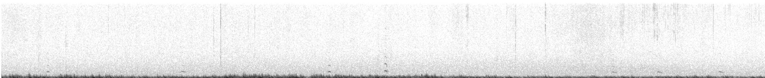 Серогрудый зобатый бегунок - ML615608570