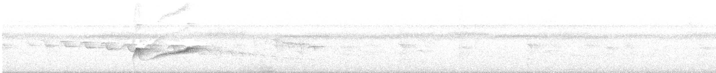 Augenstreif-Schnäppertyrann (duidae) - ML615608610