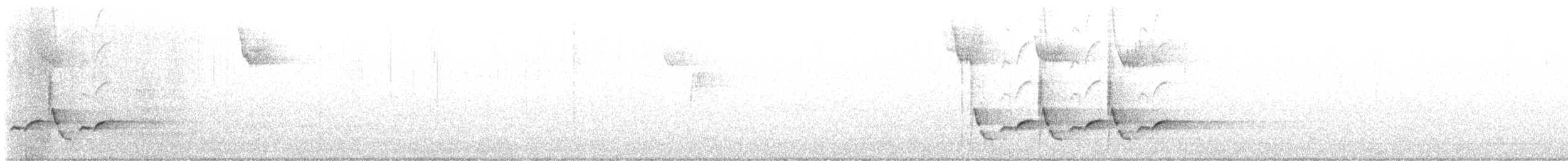 Каролинский крапивник - ML615610122
