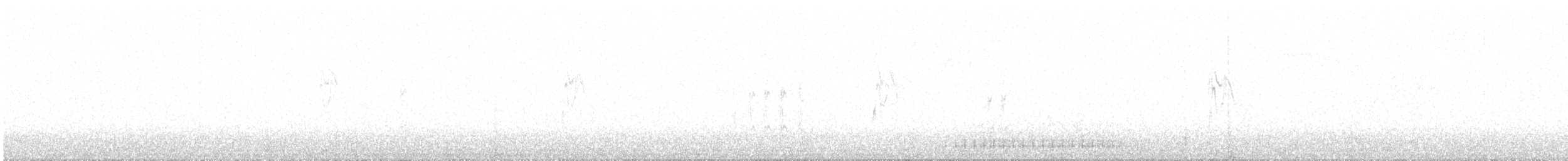 strakapoud osikový - ML615610566