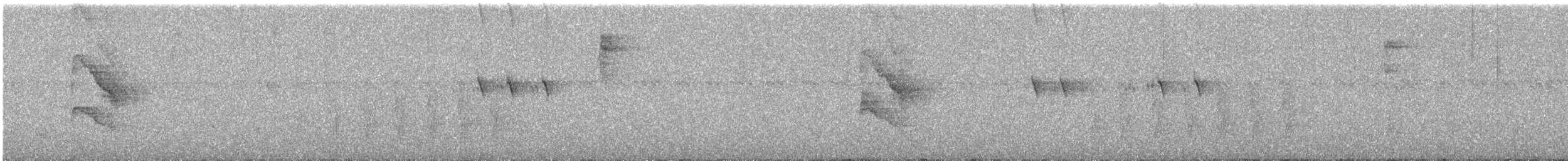 Ошейниковая нектарница - ML615614258