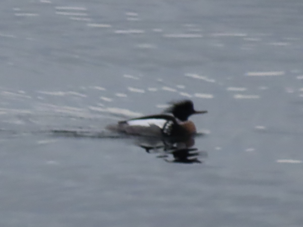 siland - ML615615652