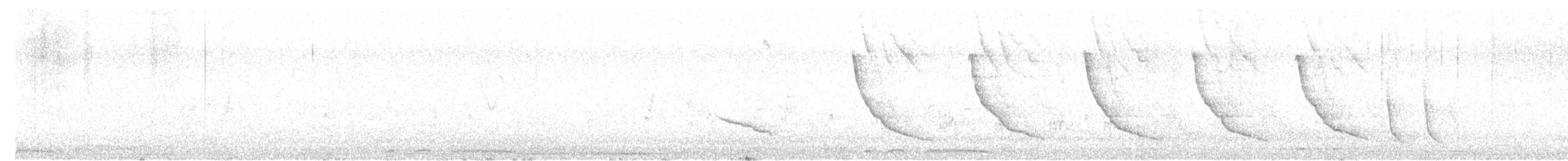 斑文鳥 - ML615618572