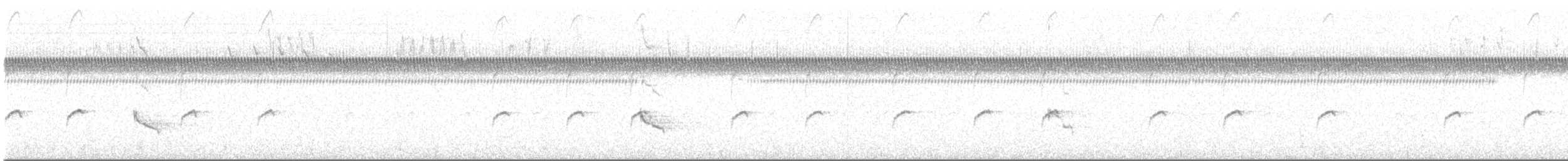 Moucherolle tête-fou - ML615618952