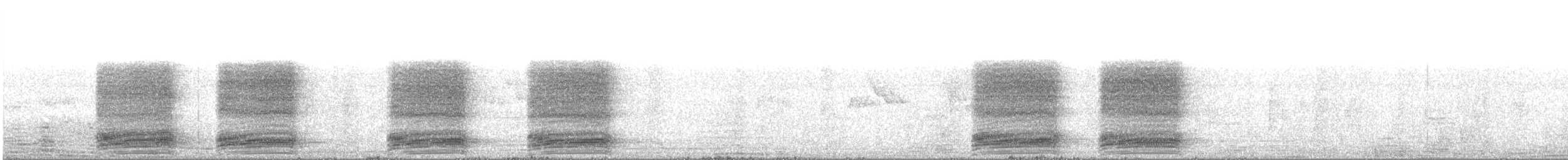 vrána černobílá - ML615623794