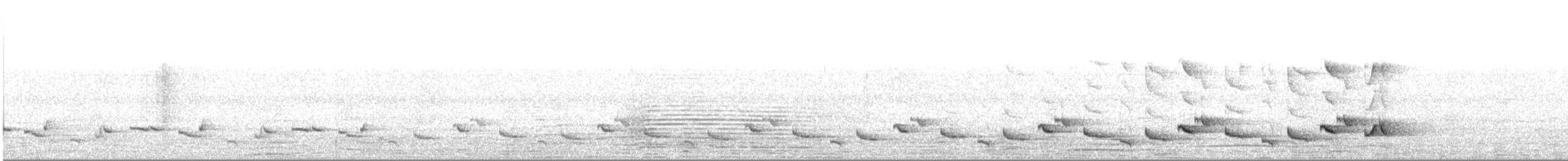Белобровый рыжехвост - ML615624529