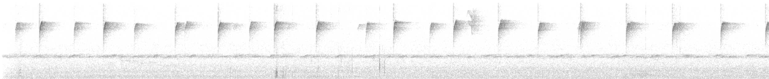 Tawny-bellied Hermit - ML615625835