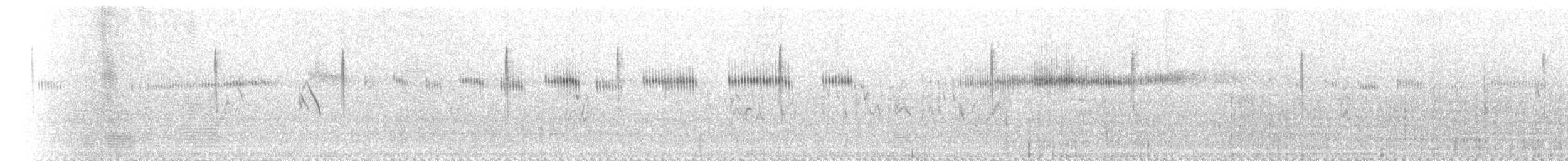 Широкохвостый колибри - ML615625869