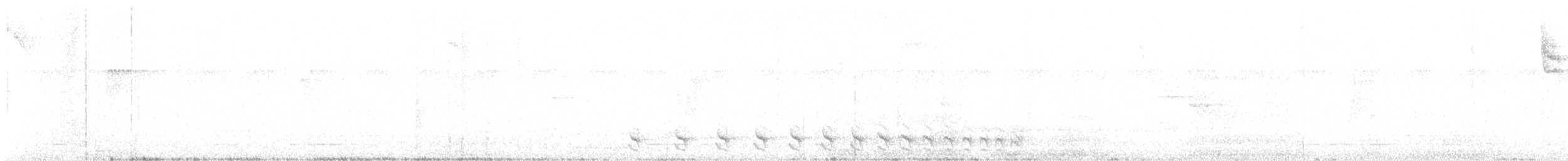 Yazılı Karınlı Karıncaavcısı - ML615625876