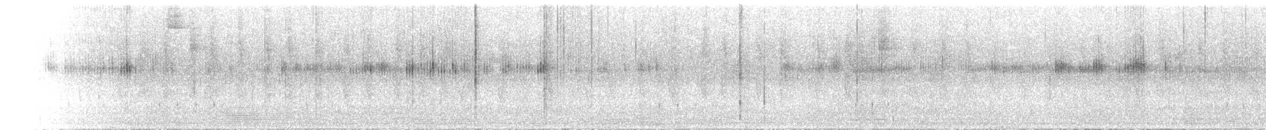 Broad-tailed Hummingbird - ML615625940