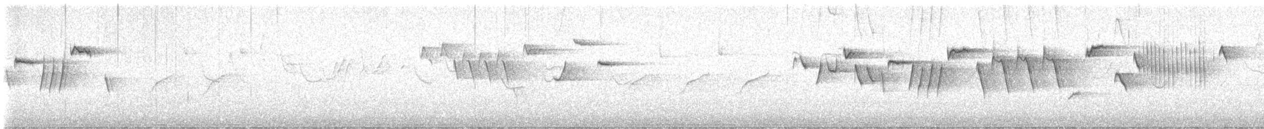 střízlík obecný (ssp. indigenus) - ML615626333