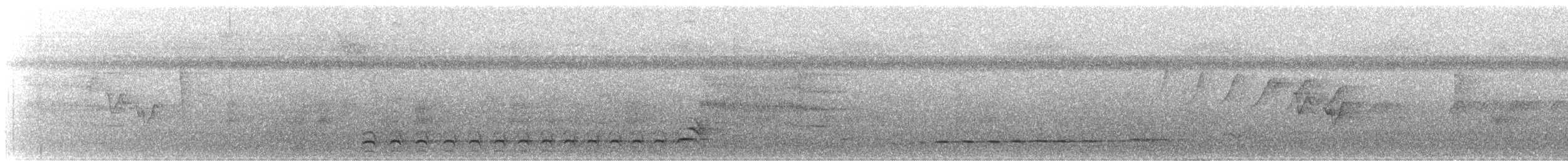 svartnakkemaurvarsler - ML615627549
