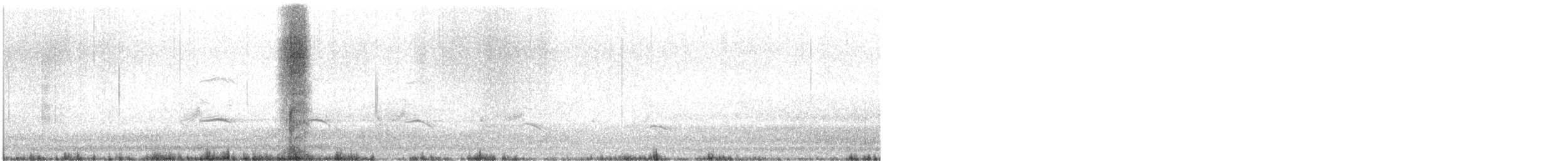 西方秧雞 - ML615627594