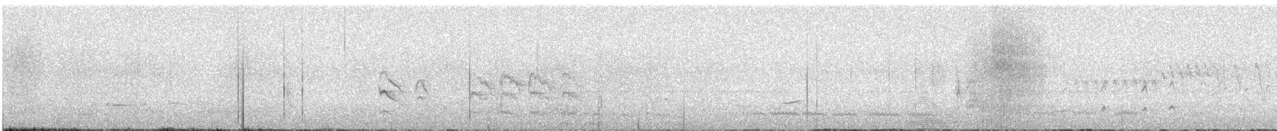 Серогрудый тиранн - ML615627614