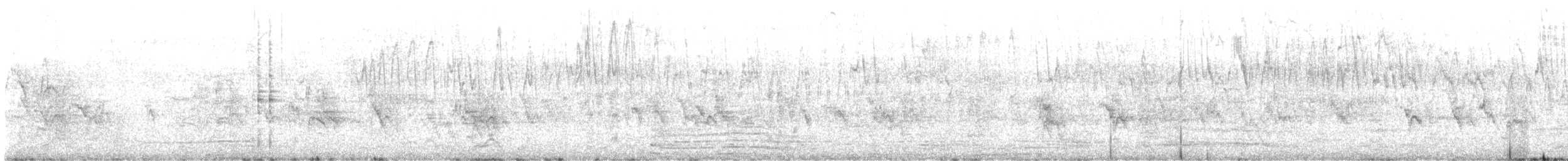 Серпокрилець-крихітка антильський - ML615628058