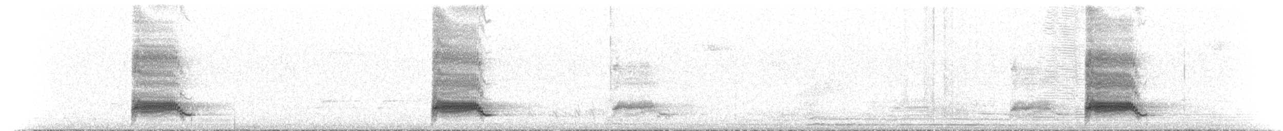 Steller Kargası - ML615628526