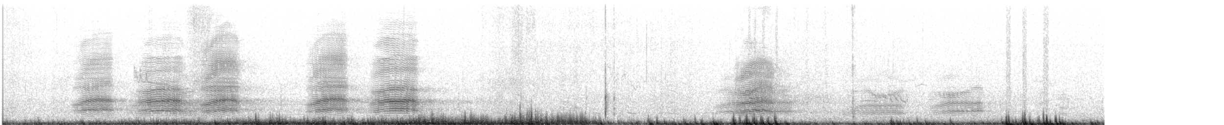 Corbeau de Tasmanie - ML615630173