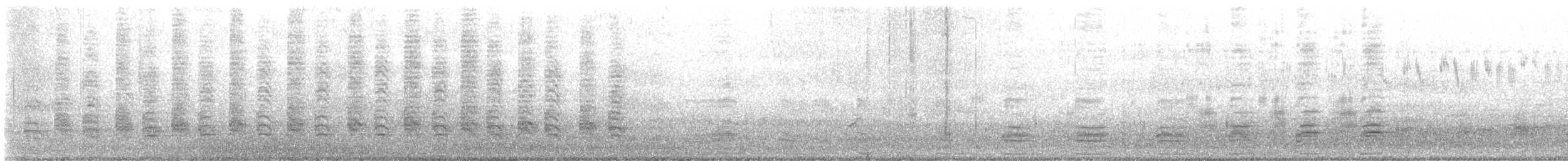 Gallinule de Tasmanie - ML615630194