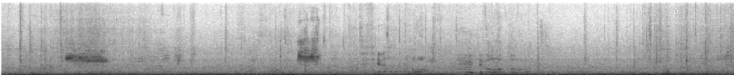 אלבטרוס לבן-כיפה - ML615630468
