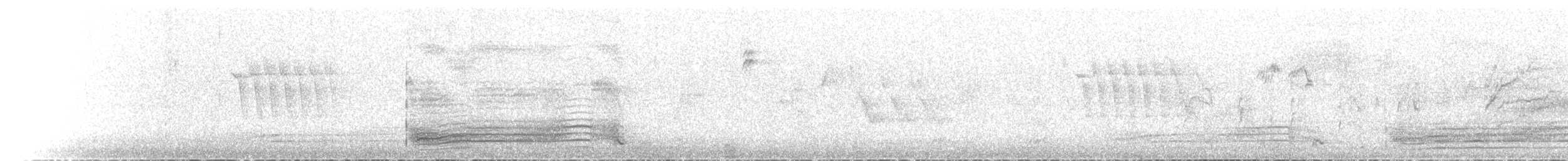 Chara de Steller - ML615632733