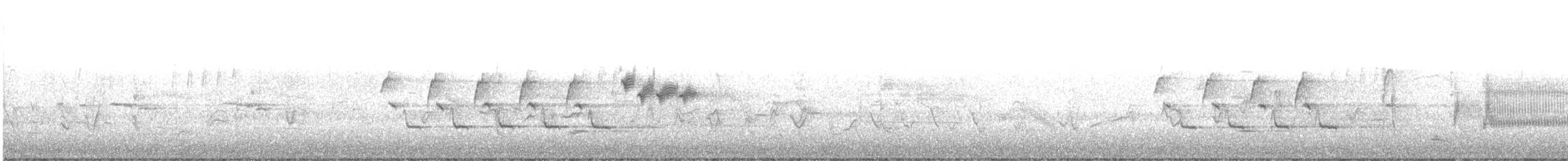Каролинский крапивник - ML615632797