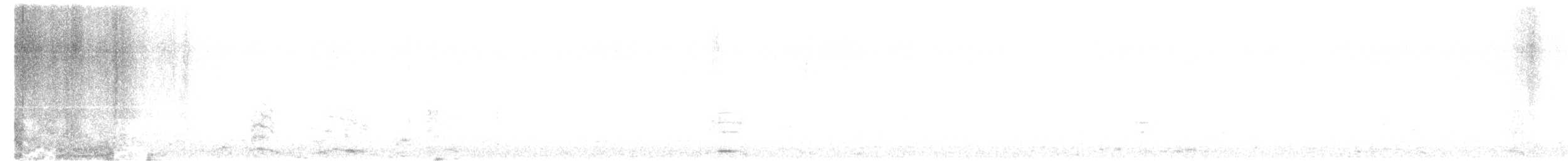 Лебідь чорнодзьобий - ML615633431
