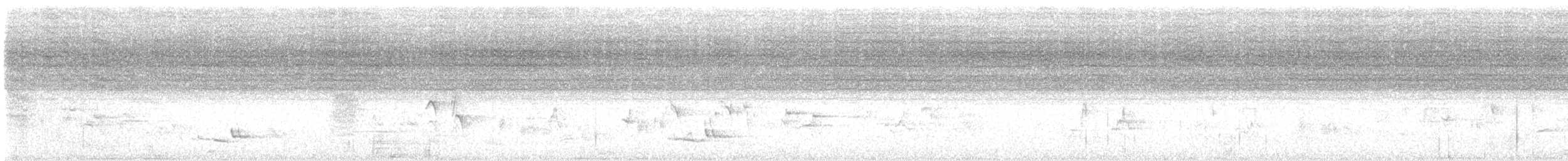 Белобрюхий дронго - ML615635106