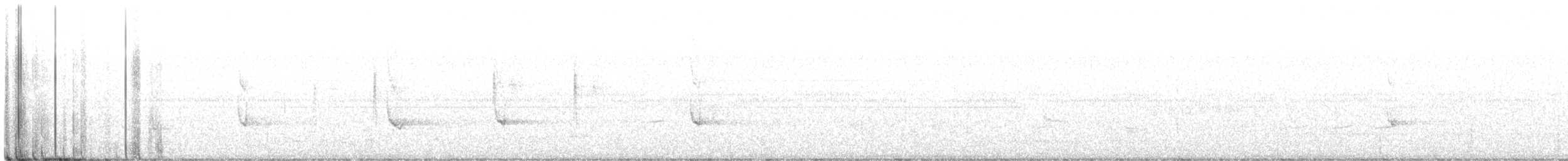 Élanion à queue blanche - ML615636140
