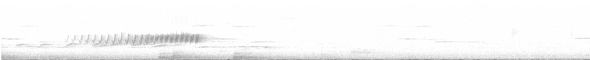 Pine Warbler - ML615637094