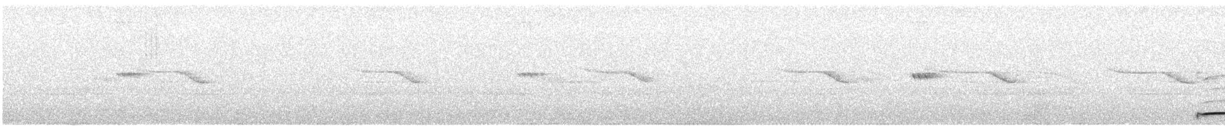 Common Potoo - ML615639303