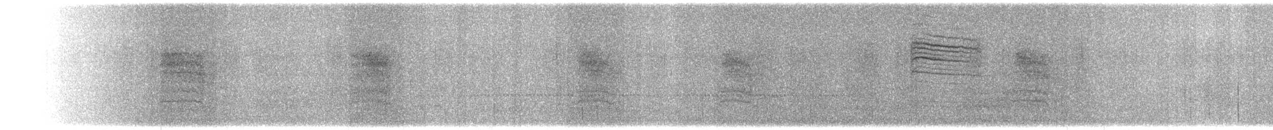 Пересмішник сірий - ML615656148