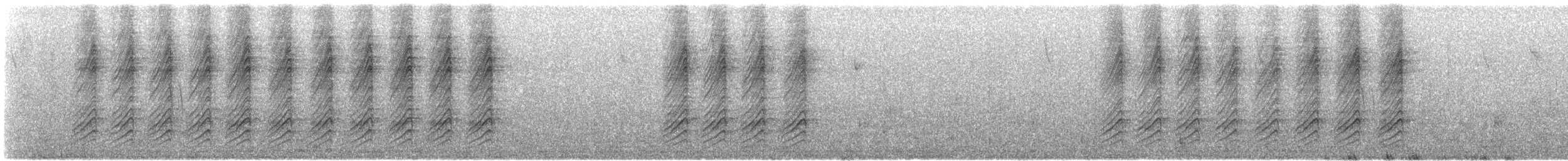 gråduskmeis x svartduskmeis (hybrid) - ML615658530