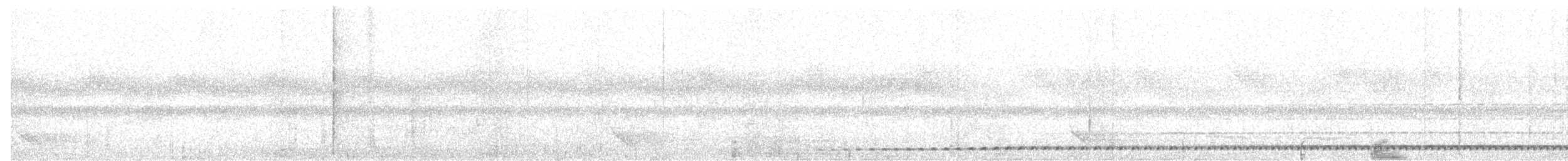 Chevêchette cuculoïde - ML615663315