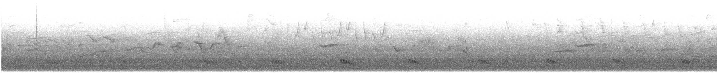 Tinamou à tête rousse - ML615665705