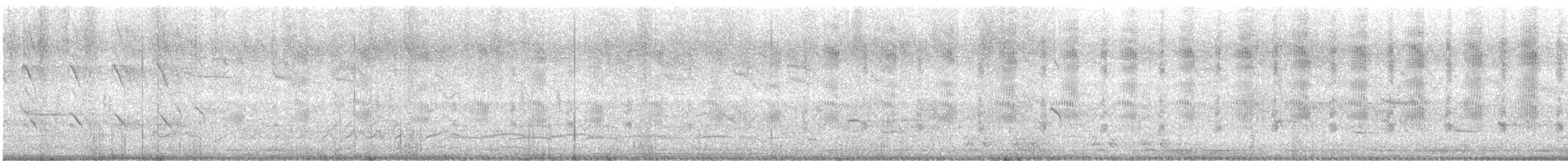 Kulaklı Karabatak - ML615669534