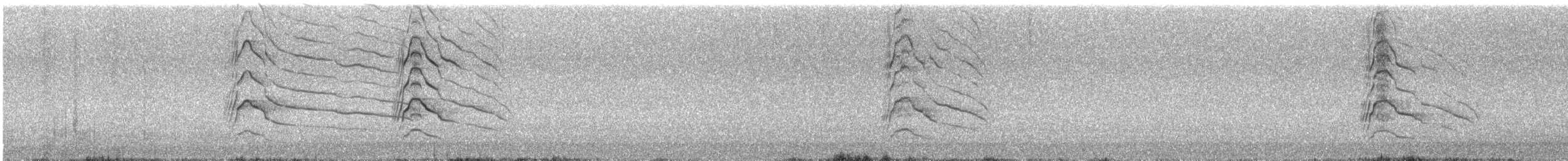 Канюк великодзьобий [група magnirostris] - ML615671478